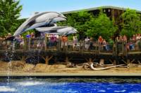 Vancouver Aquarium Admission