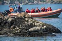 Vancouver Private Ocean Adventure