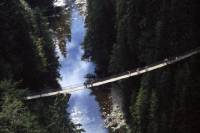 Vancouver Shore Excursion: Pre- Or Post-Cruise North Shore Tour
