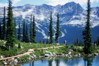 Vancouver Shore Excursion: Whistler Day Trip from Vancouver