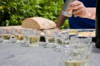 Veneto Small-Group Wine Tasting Tour