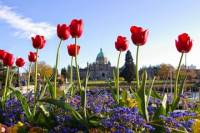 Viator Exclusive: 2-day Victoria Tour from Vancouver including Butchart Gardens
