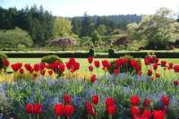Victoria Day Trip from Seattle with Butchart Gardens