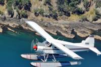 Waiheke Island Lunch or Dinner by Seaplane from Auckland