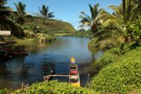 Wailua River Kayak and Hike Adventure