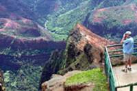 Waimea Canyon Bicycle Downhill