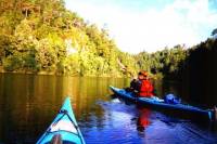 Wairoa River Kayak Tour
