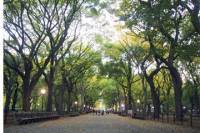Walking Tour of Central Park