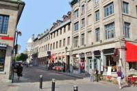 Walking Tour of Old Montreal or Downtown Montreal
