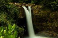 Waterfalls to Botanical Gardens and Farmers Market Tour
