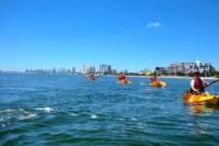 Wave Break Island Kayak and Snorkeling Tour from the Gold Coast