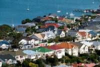 Wellington City Sightseeing Small-Group Tour