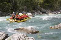 Whale Watching Cruise and White Water Rafting Experience from Reykjavik