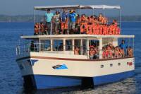Whale Watching Cruise from Galle