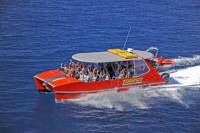 Whitsundays Full-Day Cruise by High-Speed Catamaran
