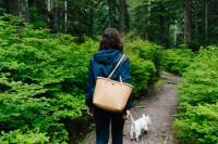 Wild Mushroom Foraging 101 Tour with Lunch