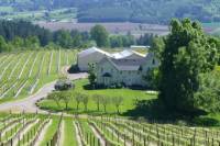 Willamette Valley Wine-Tasting Tour from Portland
