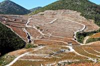 Wine and Gastronomy Tour from Dubrovnik
