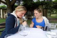 Wine Cycling Tour in Franschhoek