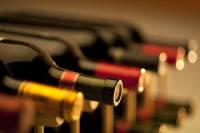 Wine Tasting and Flamenco Master Class in Madrid