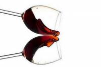 Wine Tasting in Cordoba