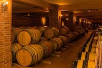 Wine tour and visit at Nemea