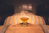 Wroclaw Craft Beer Tour