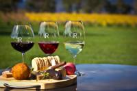 Yarra Valley Gourmet Small-Group Eco Tour from Melbourne