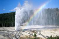 Yellowstone National Park Flight and Ground Tour