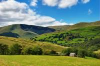 Yorkshire Dales Small-Group Day Trip from York