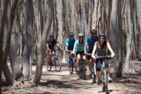 You Yangs Regional Park Mountain Bike Adventure from Melbourne