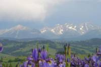 Zakopane and Tatra Mountains Guided Day Trip from Krakow