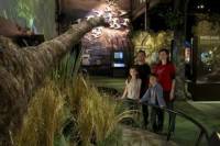 ZEALANDIA: The Exhibition and Sanctuary Valley
