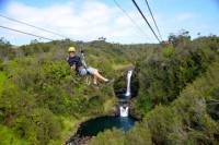 Zip n' Swim- Zipline Through Paradise and Private Waterfall Swim