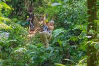 Zipline Adventure in Dangriga