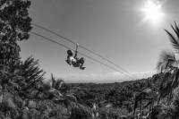 Zipline Adventure in El Limón