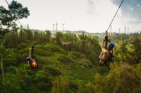 Zipline Tour On Oahu's North Shore