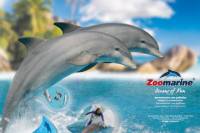 Zoomarine Entrance Only