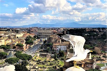 WOW Tour: Coliseum, Vatican, Squares, Luxury Car, Tickets, Lunch