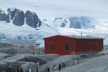 11-Day Antarctica Cruise from Ushuaia: Drake Passage, South Shetland Islands and the Antarctic Peninsula