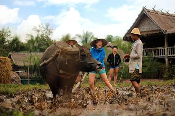 11-Day Thailand and Laos Adventure Tour from Bangkok