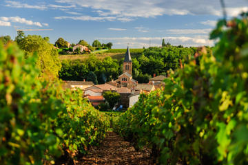 12-Day Tour of France from Paris: Normandy, Loire Valley, Bordeaux, Provence, French Riviera, Monaco and Burgundy