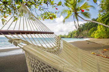 13-Day Tour of Costa Rica's National Parks: Hiking, Beaches, Nature and Culture