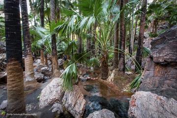 14-Day Broome to Darwin Tour Including Litchfield National Park, Nitmiluk National Park and the Bungle Bungle