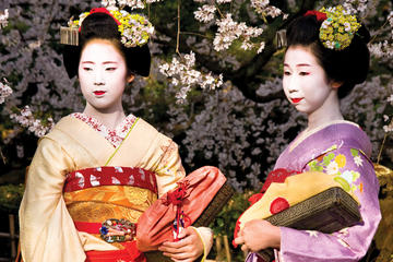 14-Day Classic Japan Tour: Nikko, Hakone, Takayama, Hiroshima and Kyoto from Tokyo