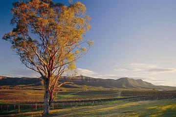 2-Day Hunter Valley and Port Stephens Small-Group Eco-Tour