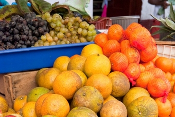 2-Day Markets Tour from Quito: Otavalo and Cotacachi