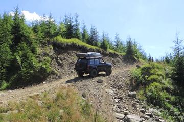 2-Day Private Tour of the Carpathian Mountains from Bucharest