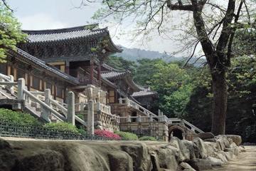 2-Day Silla Heritage Tour of Gyeongju from Seoul