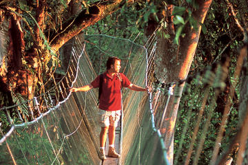 2-Day Small-Group Tour: Kinabalu National Park and Poring Hot Springs from Sabah